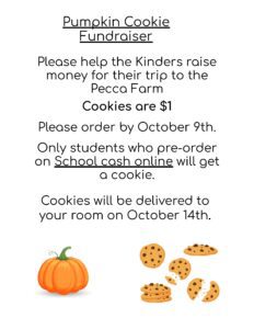 Information on cookies