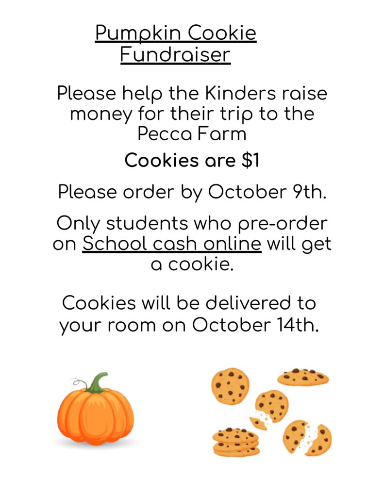 Information on cookies